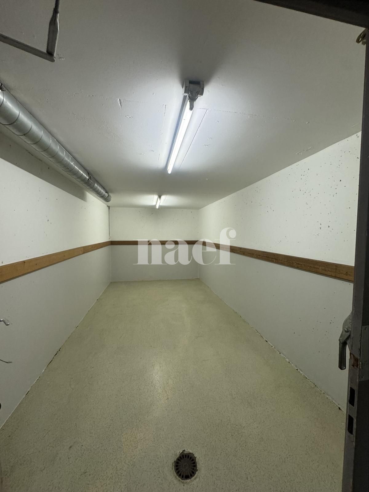 À louer : Dépôt Versoix - Ref : 269207.81001 | Naef Immobilier