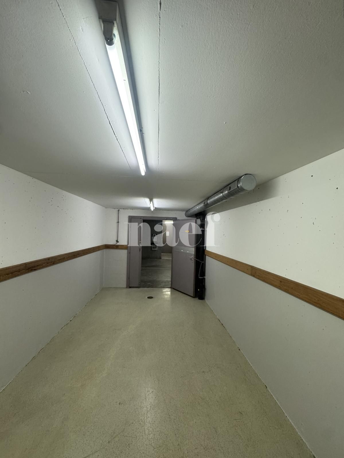 À louer : Dépôt Versoix - Ref : 269207.81001 | Naef Immobilier