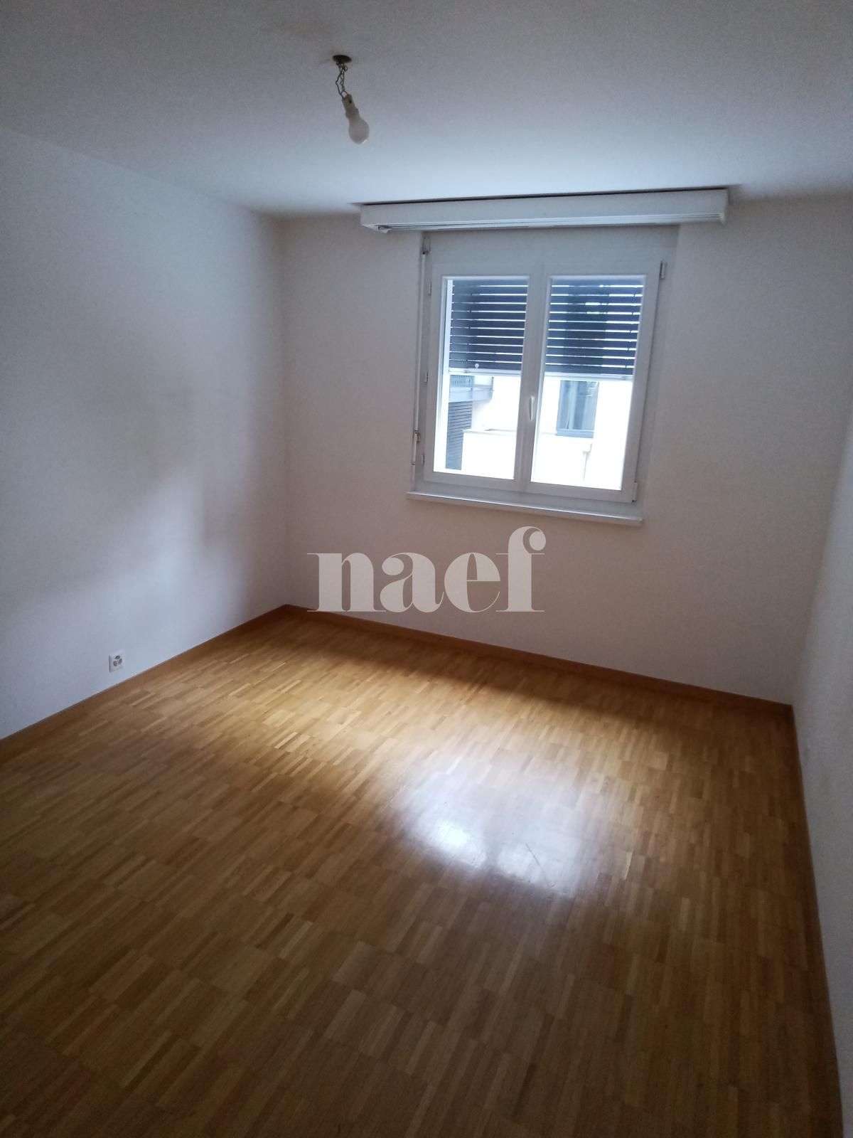 À louer : Appartement 6 Pieces Petit-Lancy - Ref : 269211.1 | Naef Immobilier