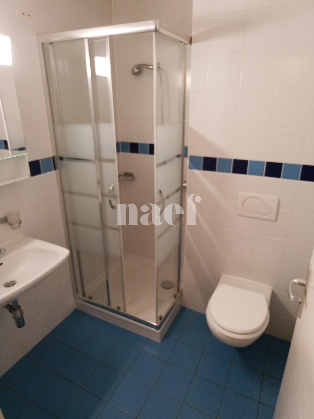 À louer : Appartement 6 Pieces Petit-Lancy - Ref : 269211.1 | Naef Immobilier