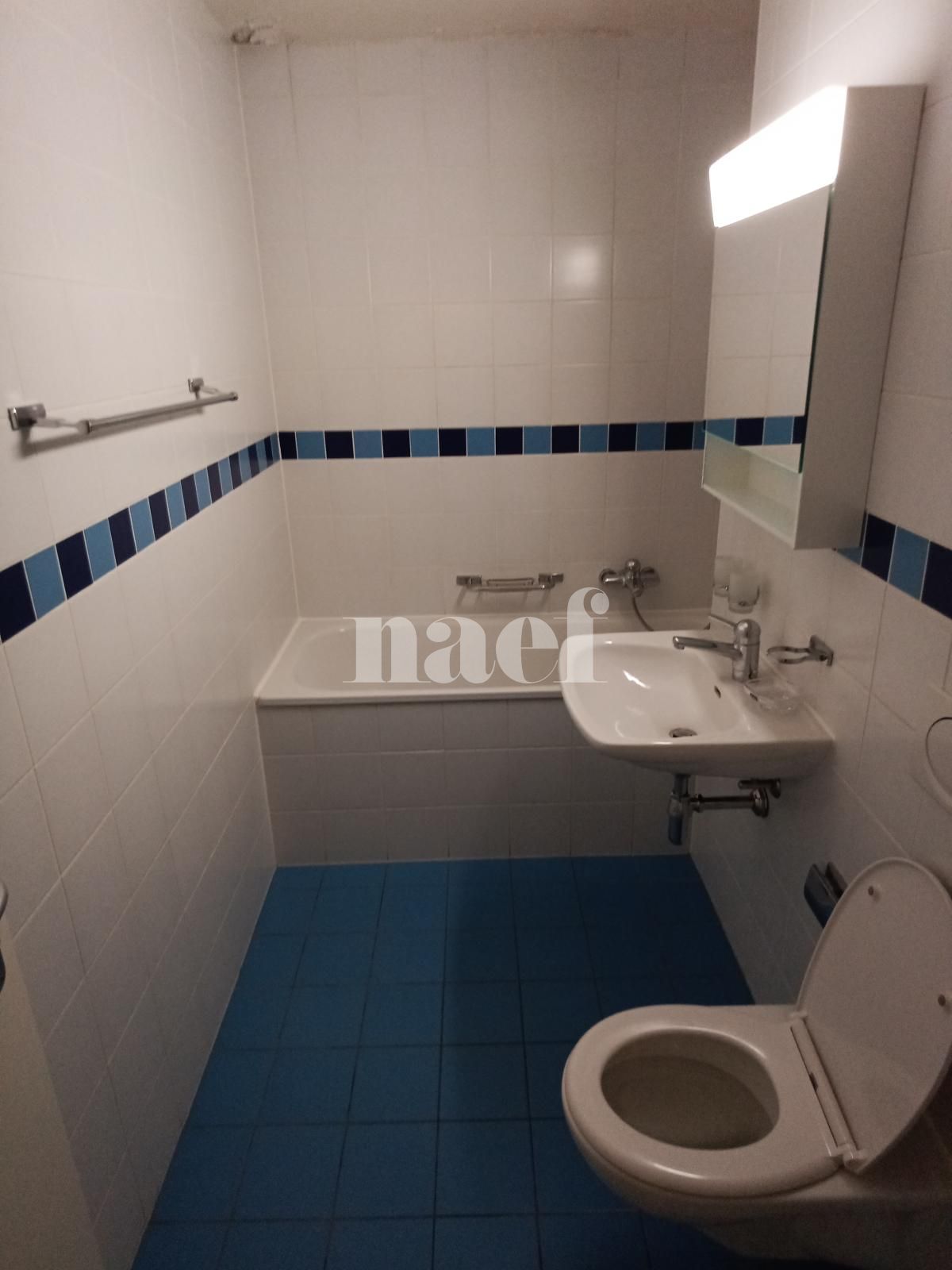 À louer : Appartement 6 Pieces Petit-Lancy - Ref : 269211.1 | Naef Immobilier