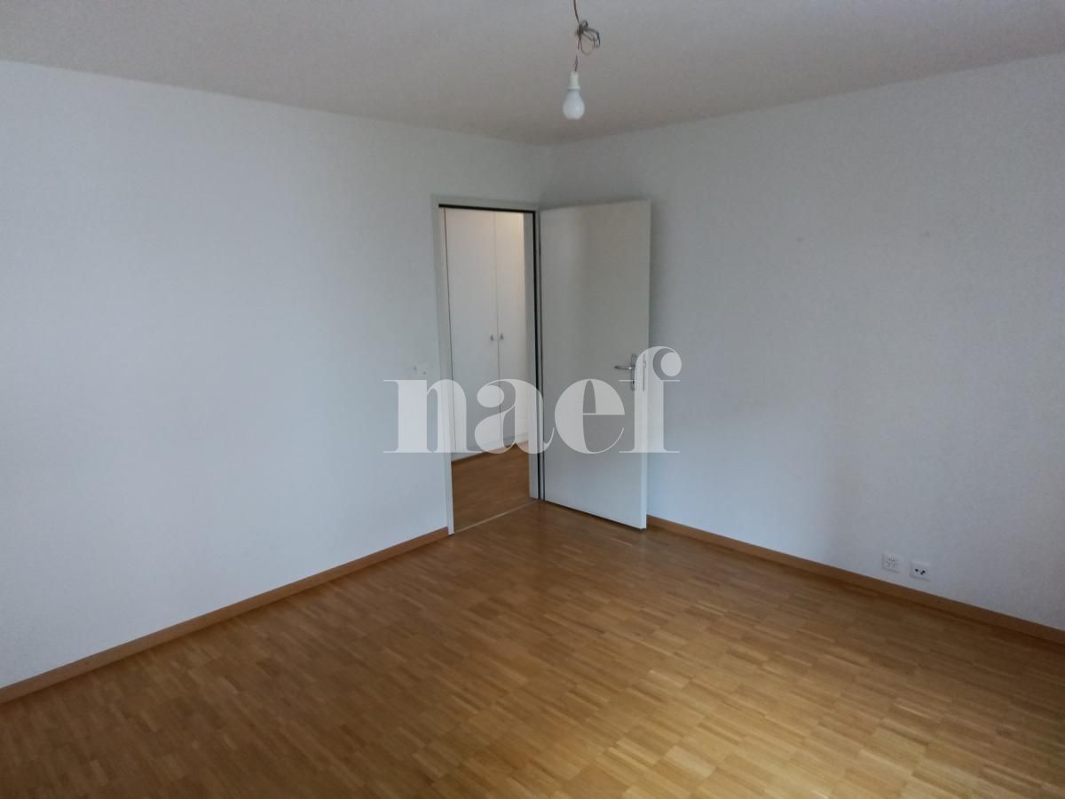 À louer : Appartement 6 Pieces Petit-Lancy - Ref : 269211.1 | Naef Immobilier