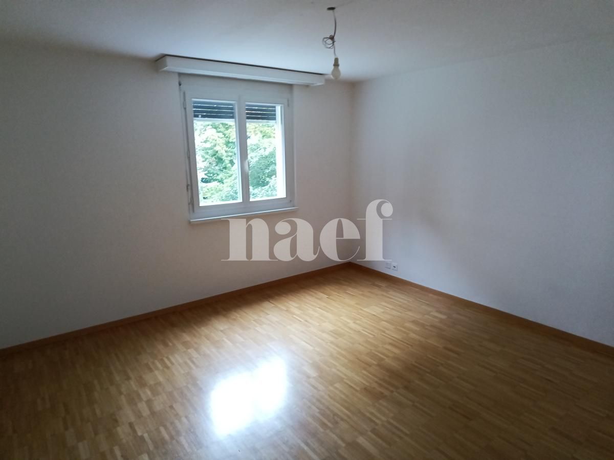 À louer : Appartement 6 Pieces Petit-Lancy - Ref : 269211.1 | Naef Immobilier