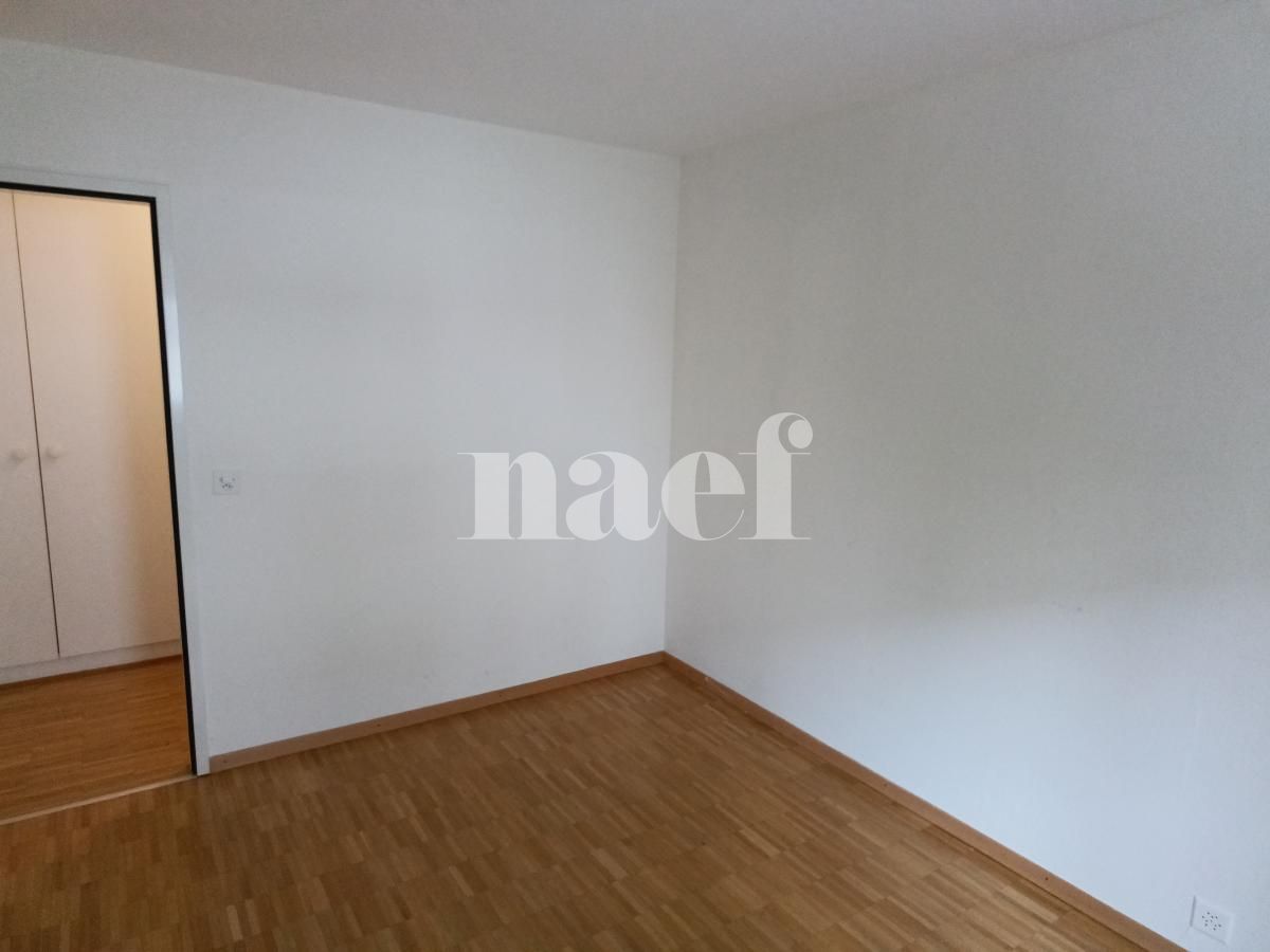 À louer : Appartement 6 Pieces Petit-Lancy - Ref : 269211.1 | Naef Immobilier