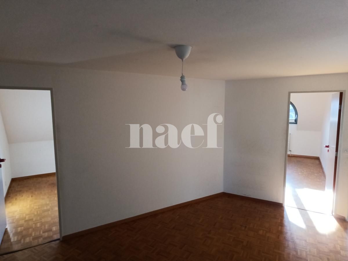 À louer : Appartement 6 Pieces Genève - Ref : 269245.6061 | Naef Immobilier