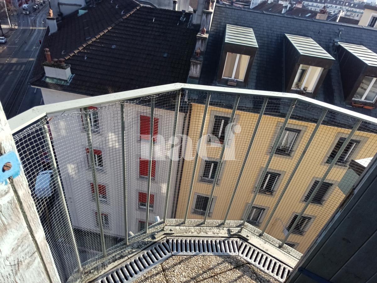 À louer : Appartement 6 Pieces Genève - Ref : 269245.6061 | Naef Immobilier