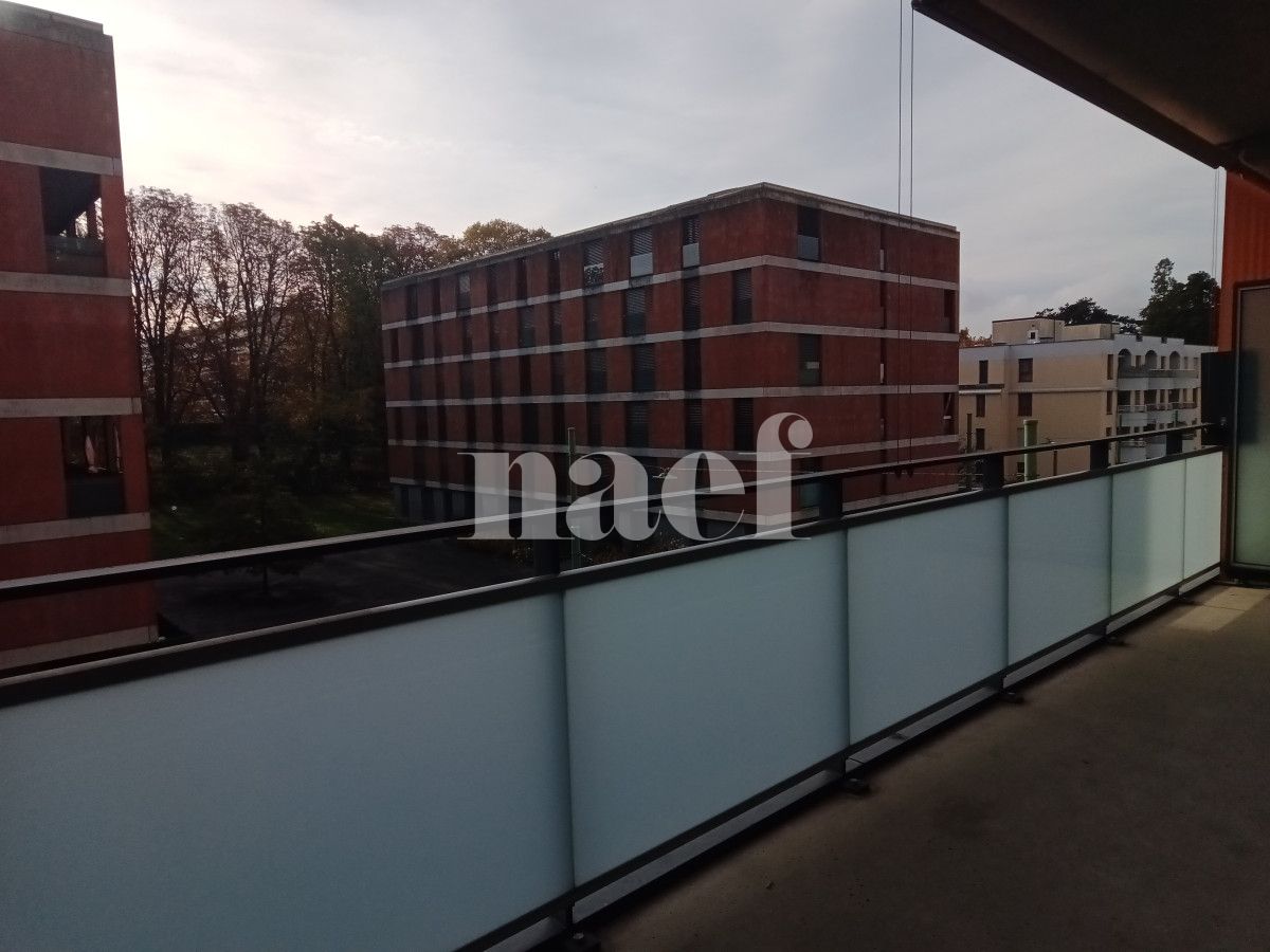 À louer : Appartement 5 Pieces Le Grand-Saconnex - Ref : 269271.3032 | Naef Immobilier