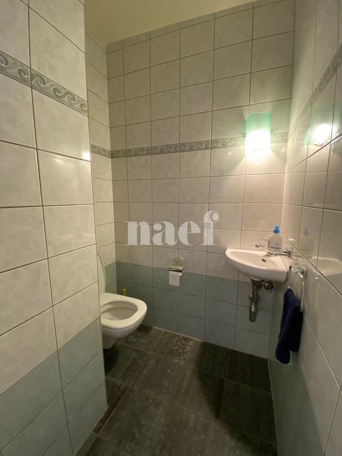 À louer : Appartement 3.5 Pieces Carouge GE - Ref : 269591.1002 | Naef Immobilier