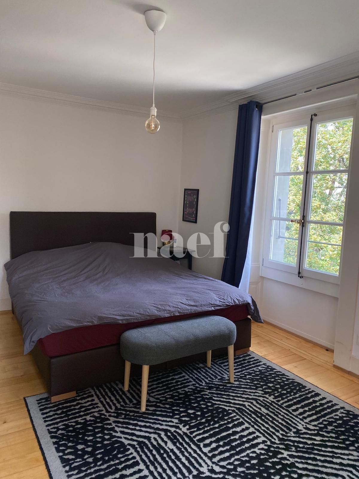 À louer : Appartement 3.5 Pieces Carouge GE - Ref : 269591.1002 | Naef Immobilier