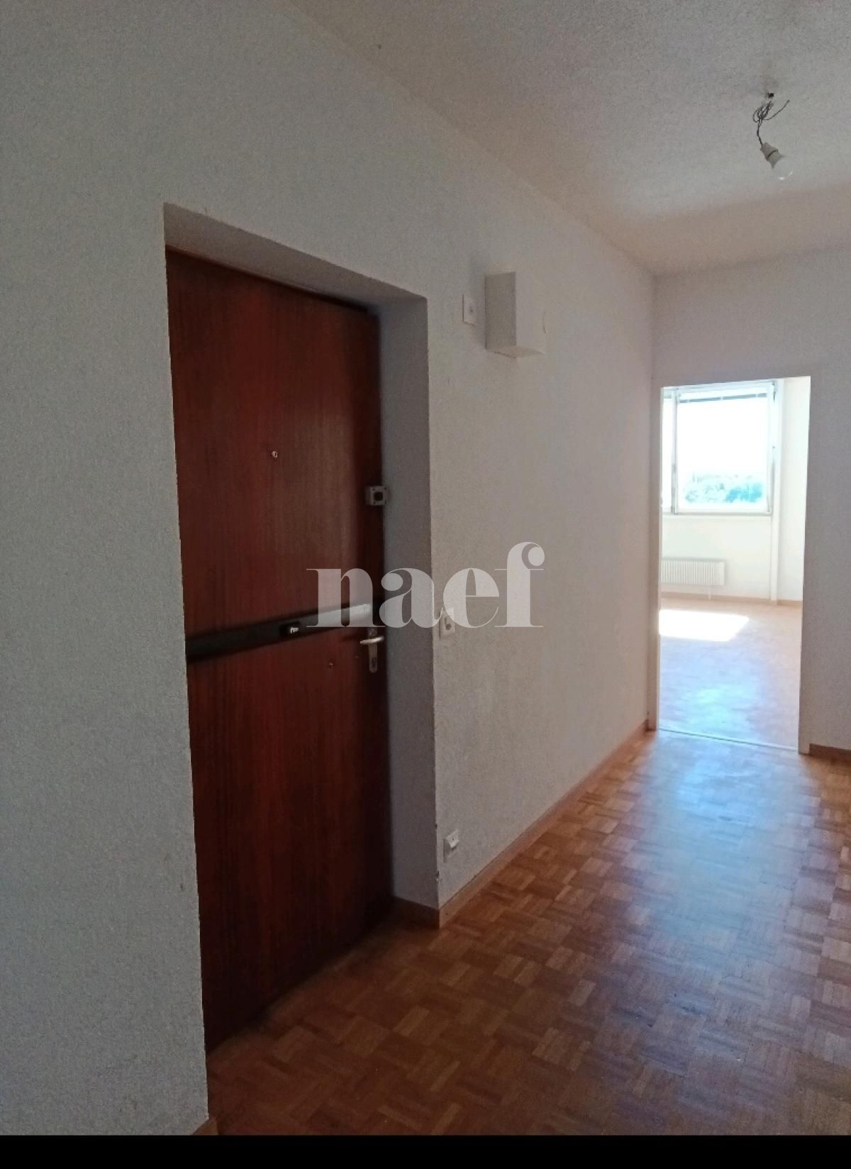 À louer : Appartement 3 Pieces Le Lignon - Ref : 269592.12001 | Naef Immobilier