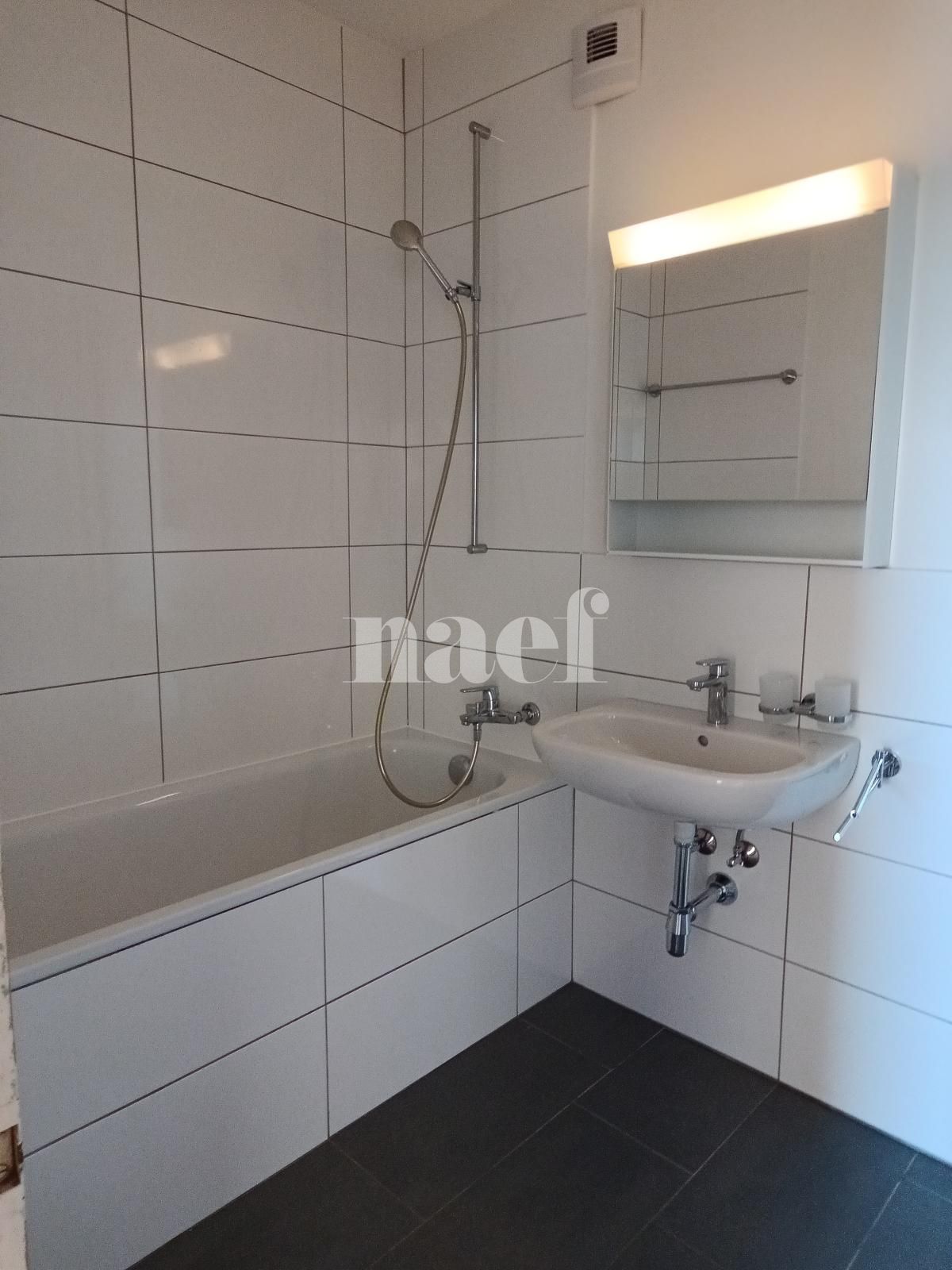 À louer : Appartement 3 Pieces Le Lignon - Ref : 269592.12001 | Naef Immobilier