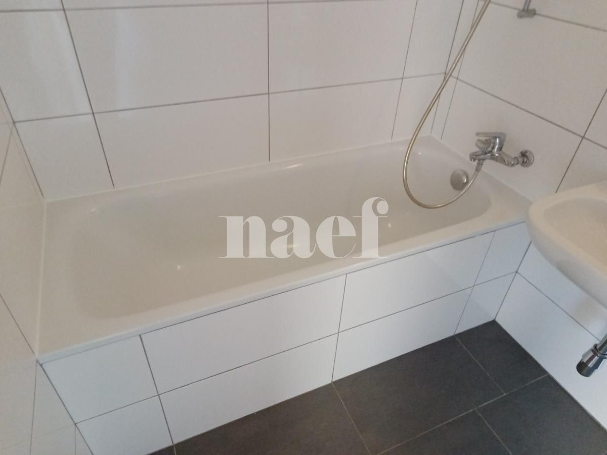 À louer : Appartement 3 Pieces Le Lignon - Ref : 269592.12001 | Naef Immobilier