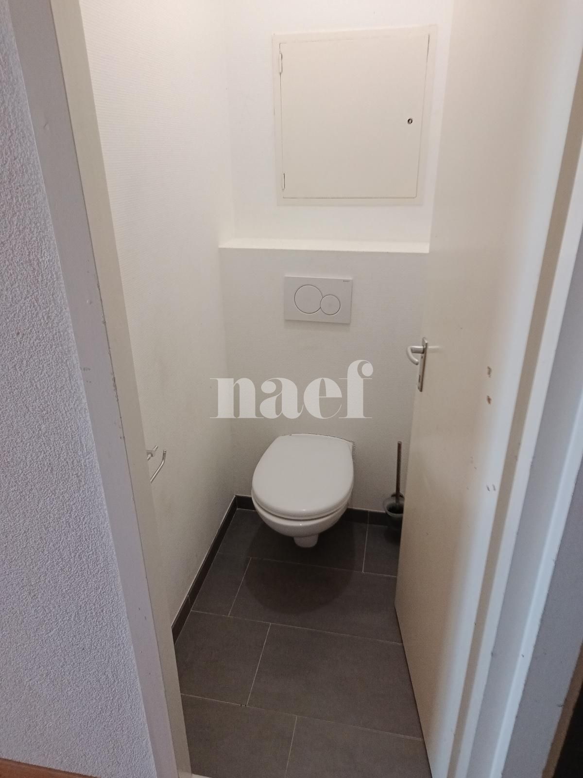À louer : Appartement 3 Pieces Le Lignon - Ref : 269592.12001 | Naef Immobilier