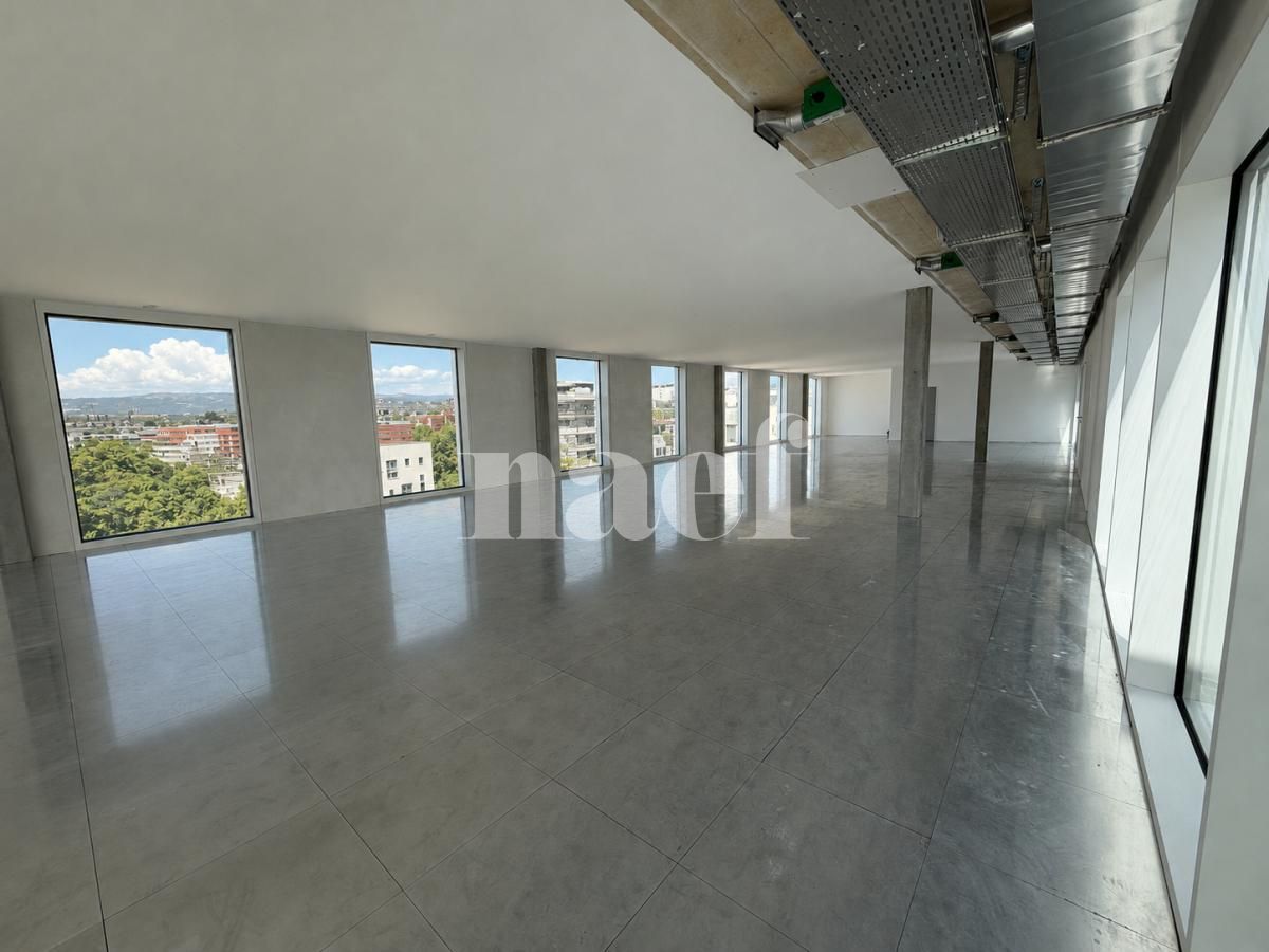 À louer : Surface Commerciale Bureau Gland - Ref : 269593.3002 | Naef Immobilier