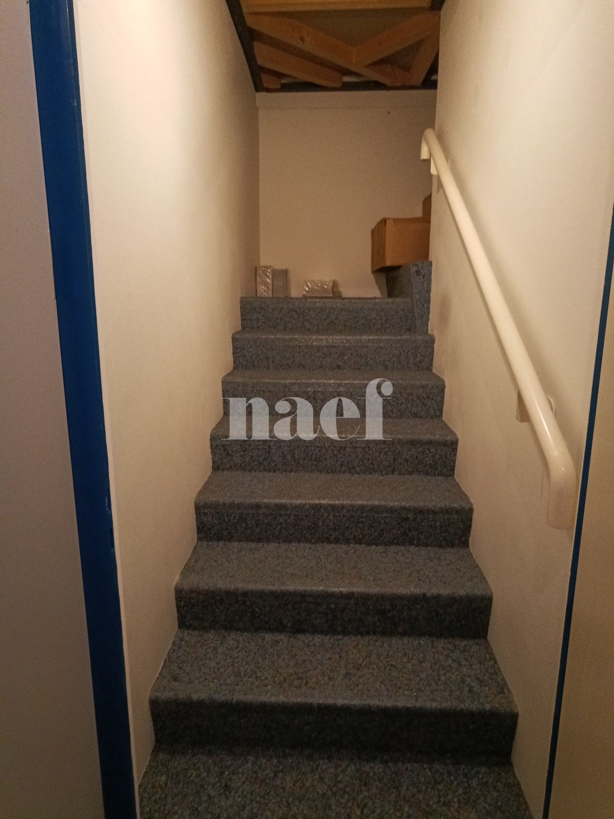 À louer : Surface Commerciale Bureau Neuchâtel - Ref : 270103.2001 | Naef Immobilier