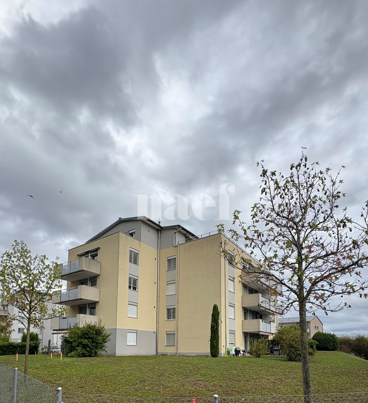 À louer : Appartement 4 Pieces Orbe - Ref : 275969.2001 | Naef Immobilier