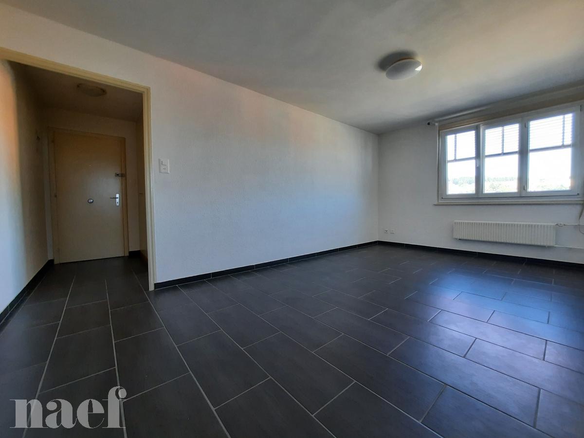 À louer : Appartement 3 Pieces La Chaux-de-Fonds - Ref : 276006.3001 | Naef Immobilier