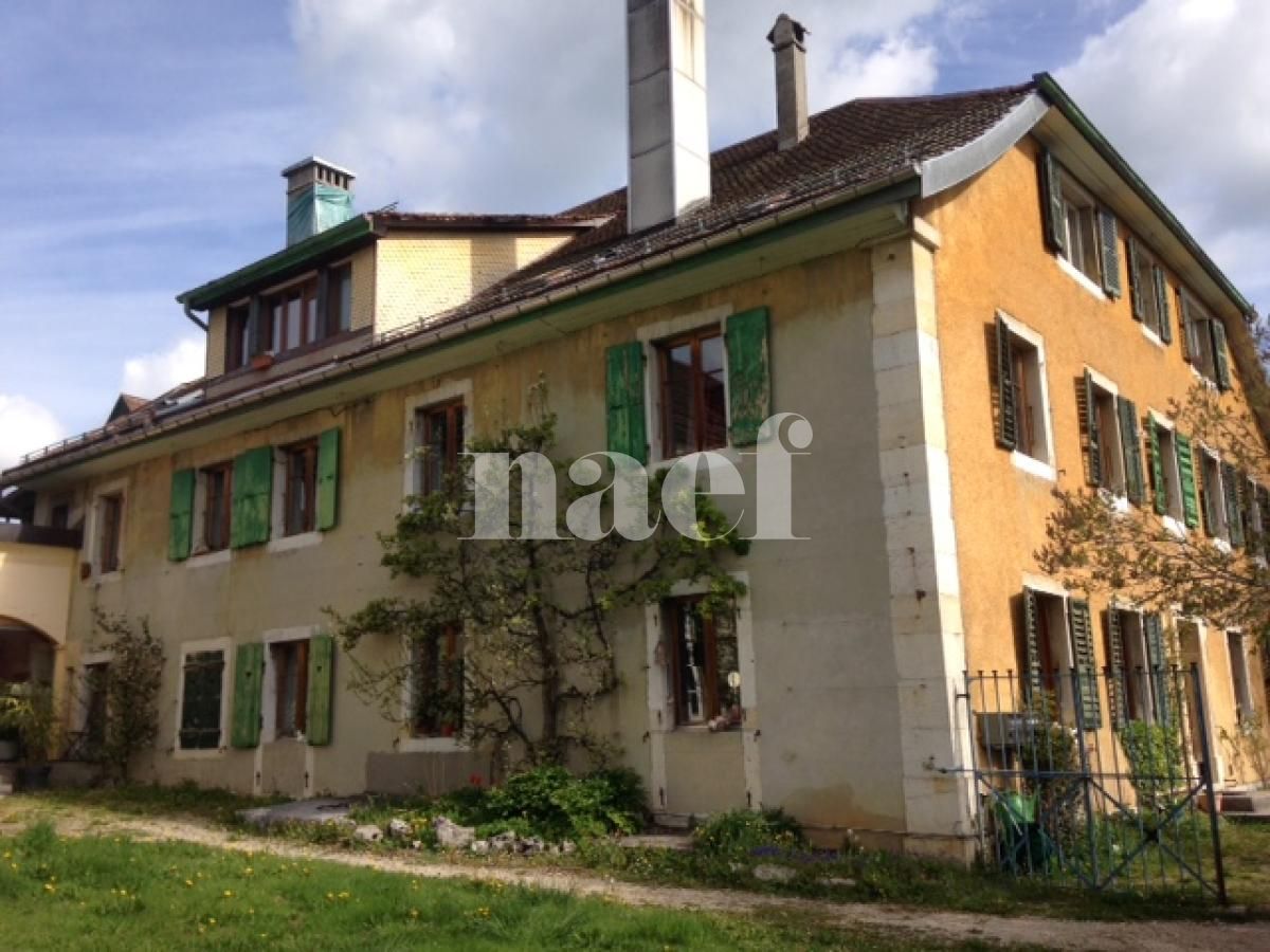À louer : Appartement 3 Pieces La Chaux-de-Fonds - Ref : 276007.2001 | Naef Immobilier
