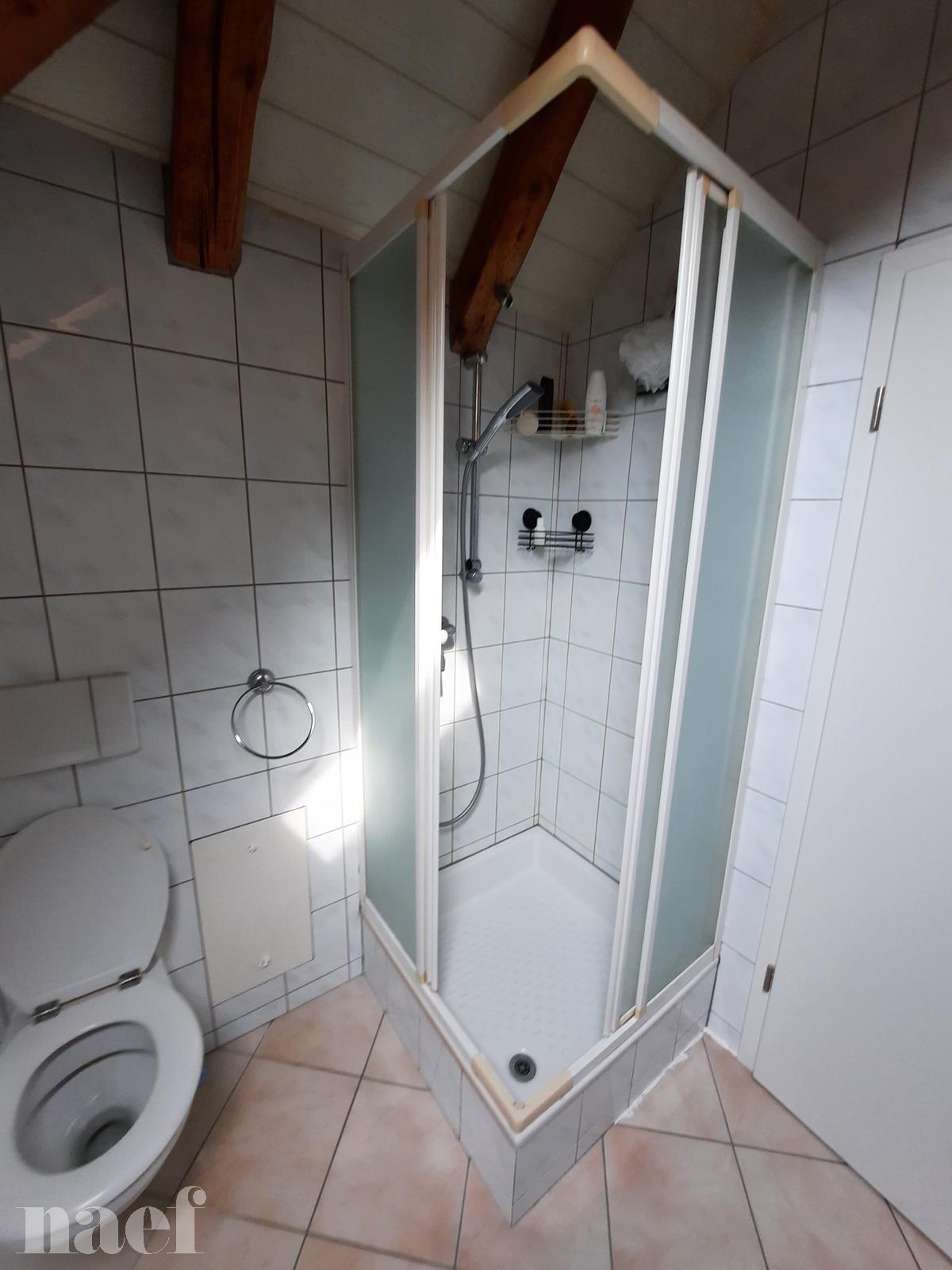 À louer : Appartement 2 Pieces La Chaux-de-Fonds - Ref : 276055.2001 | Naef Immobilier