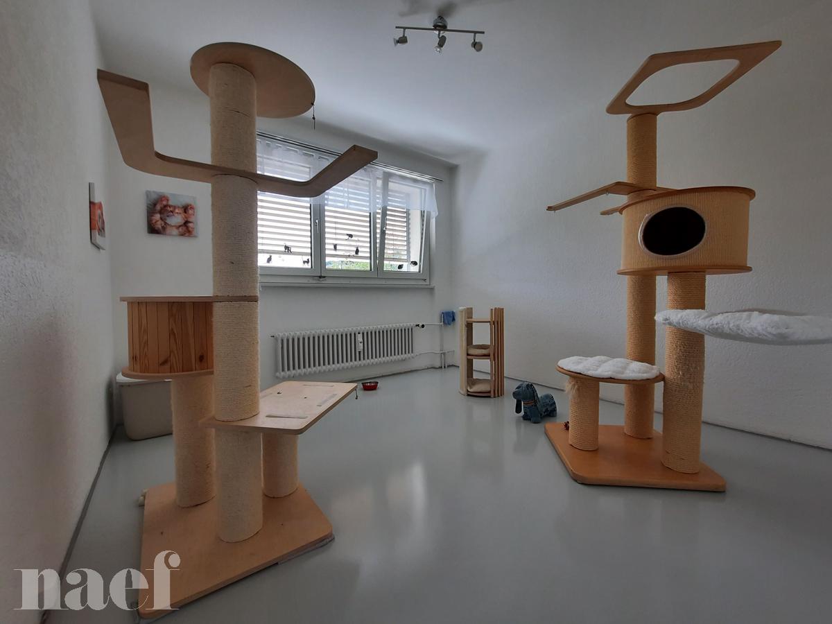 À louer : Appartement 4 Pieces Corgémont - Ref : 276106.3003 | Naef Immobilier