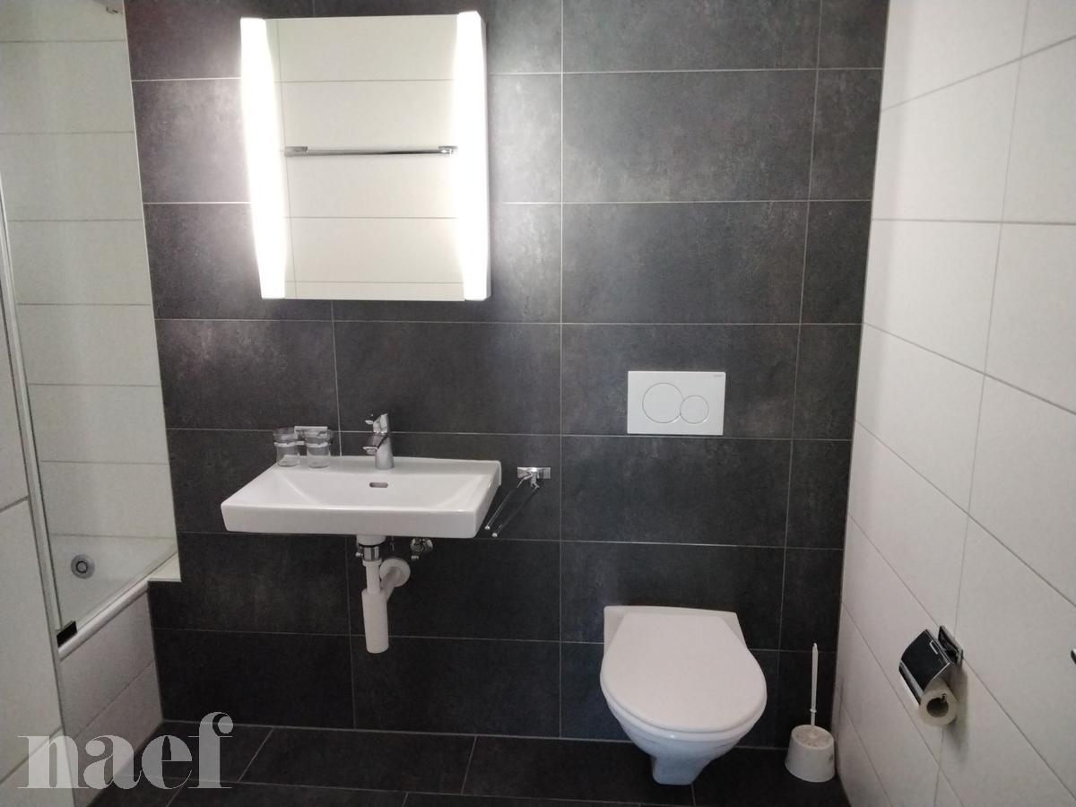 À louer : Appartement 2 Pieces La Chaux-de-Fonds - Ref : 276132.1 | Naef Immobilier