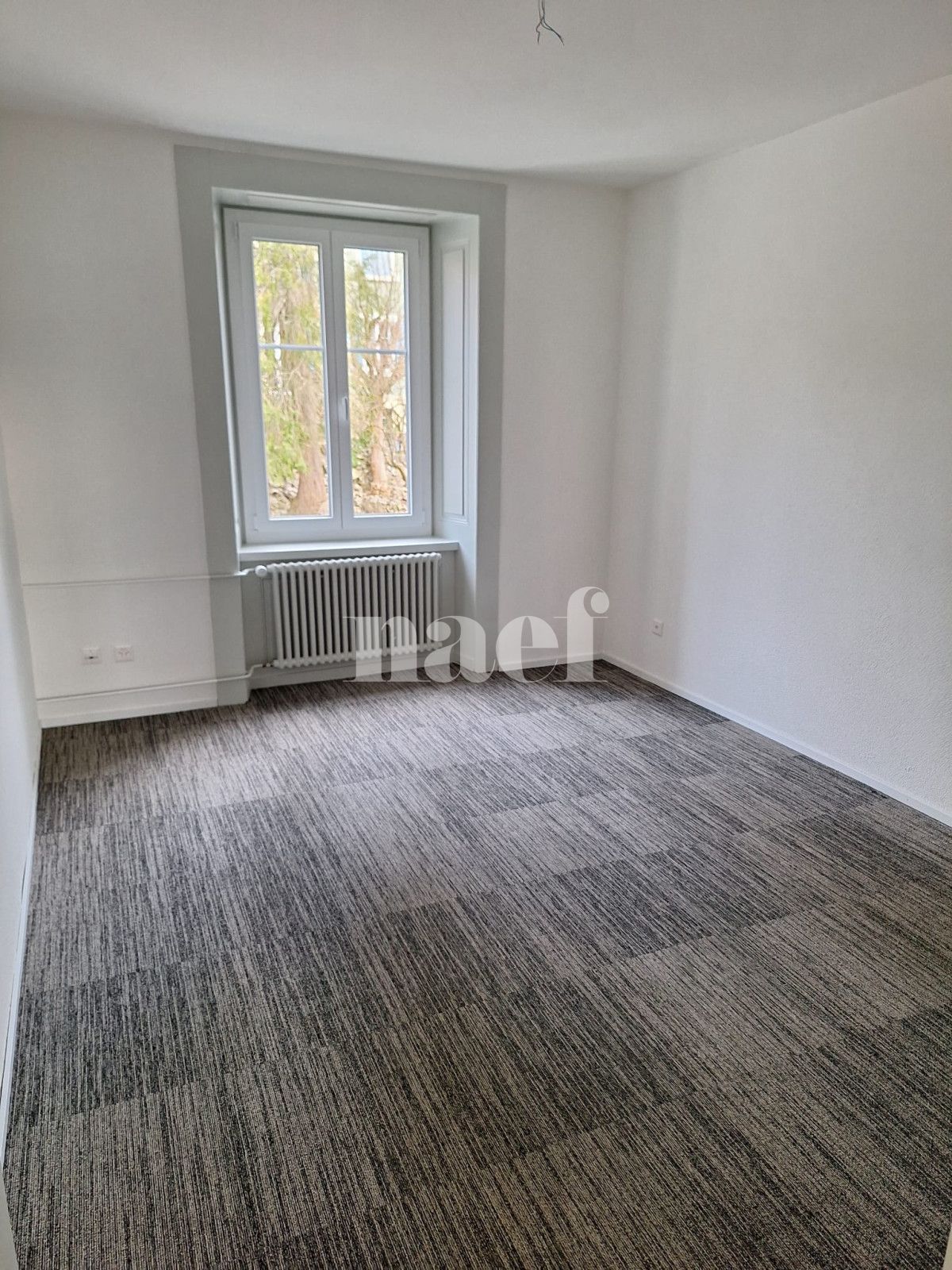 À louer : Appartement 3 Pieces La Chaux-de-Fonds - Ref : 276210.1001 | Naef Immobilier