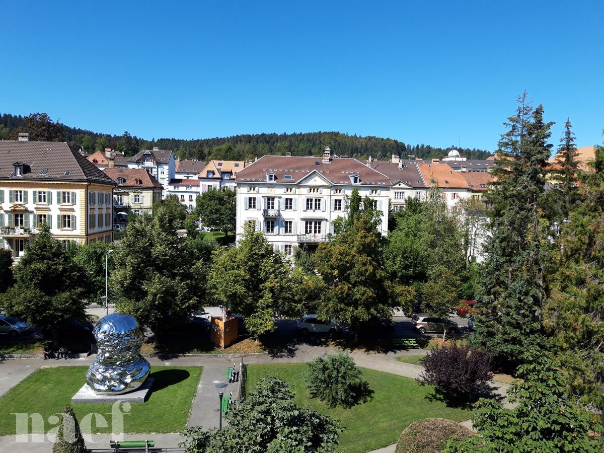 À louer : Appartement 2.5 Pieces La Chaux-de-Fonds - Ref : 276238.1002 | Naef Immobilier