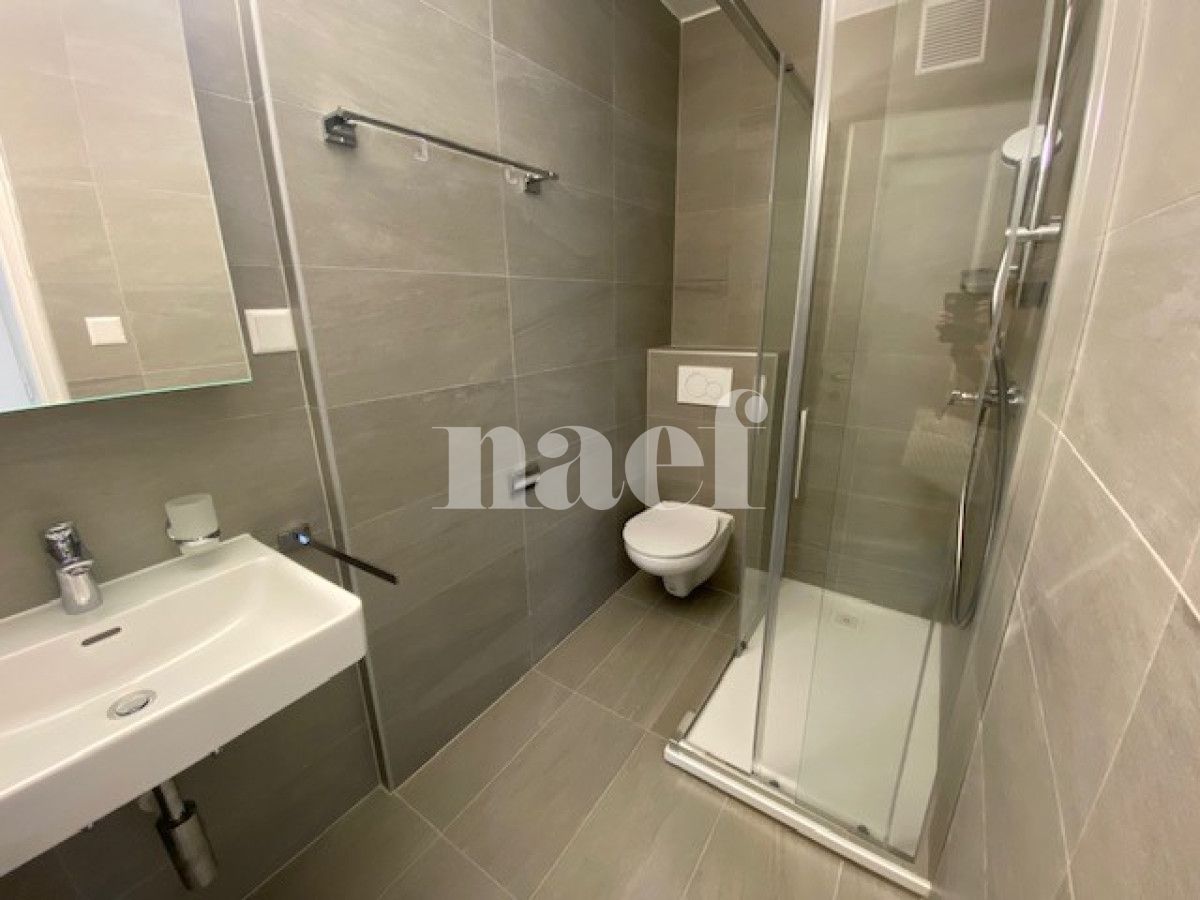 À louer : Appartement 2.5 Pieces La Chaux-de-Fonds - Ref : 276305.3002 | Naef Immobilier
