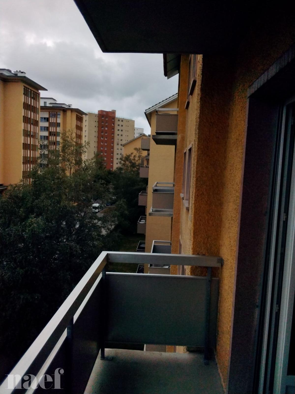 À louer : Appartement 1.5 Pieces La Chaux-de-Fonds - Ref : 276305.4004 | Naef Immobilier