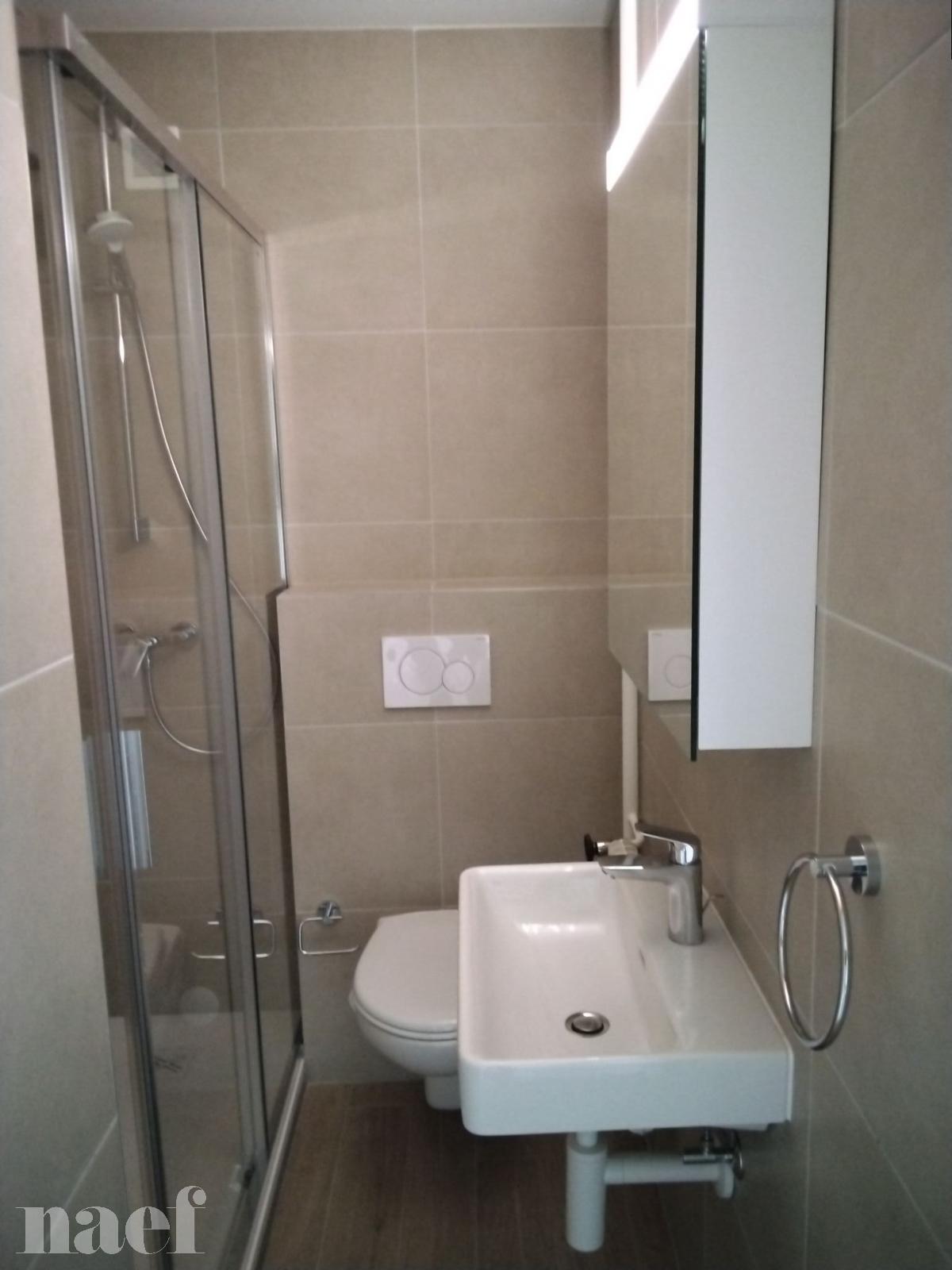 À louer : Appartement 1.5 Pieces La Chaux-de-Fonds - Ref : 276305.4004 | Naef Immobilier