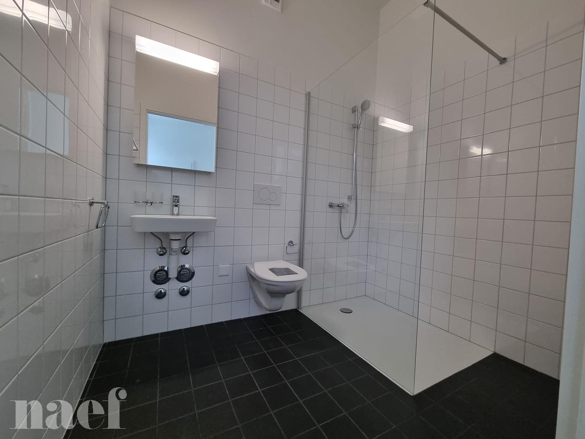 À louer : Appartement 3 Pieces Le Locle - Ref : 276325.1004 | Naef Immobilier