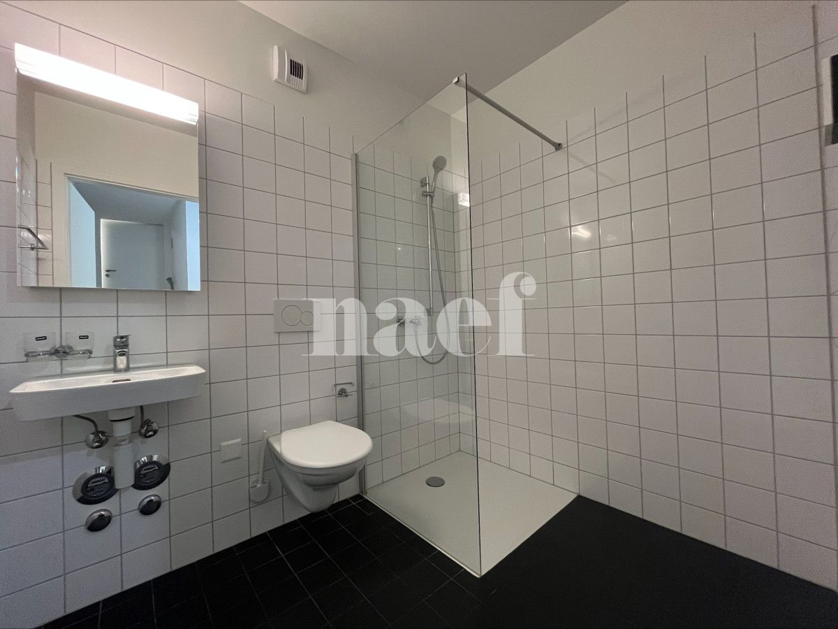 À louer : Appartement 3 Pieces Le Locle - Ref : 276325.1 | Naef Immobilier