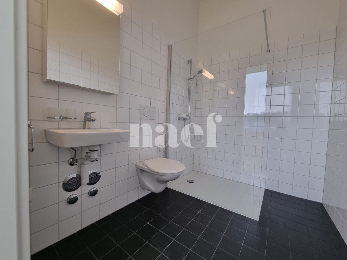 À louer : Appartement 2 Pieces Le Locle - Ref : 276325.2003 | Naef Immobilier