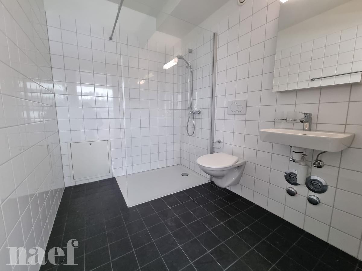 À louer : Appartement 2 Pieces Le Locle - Ref : 276325.3 | Naef Immobilier