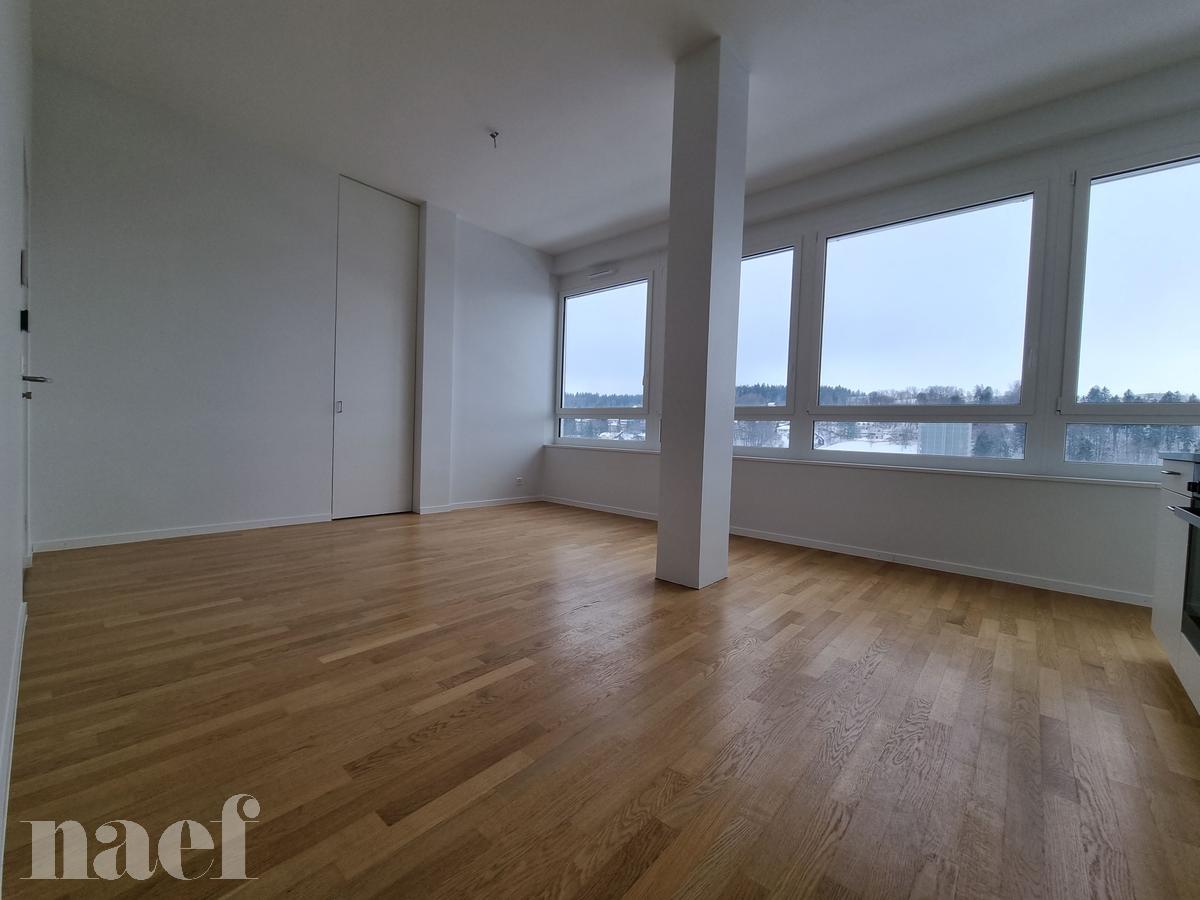 À louer : Appartement 2 Pieces Le Locle - Ref : 276325.7 | Naef Immobilier