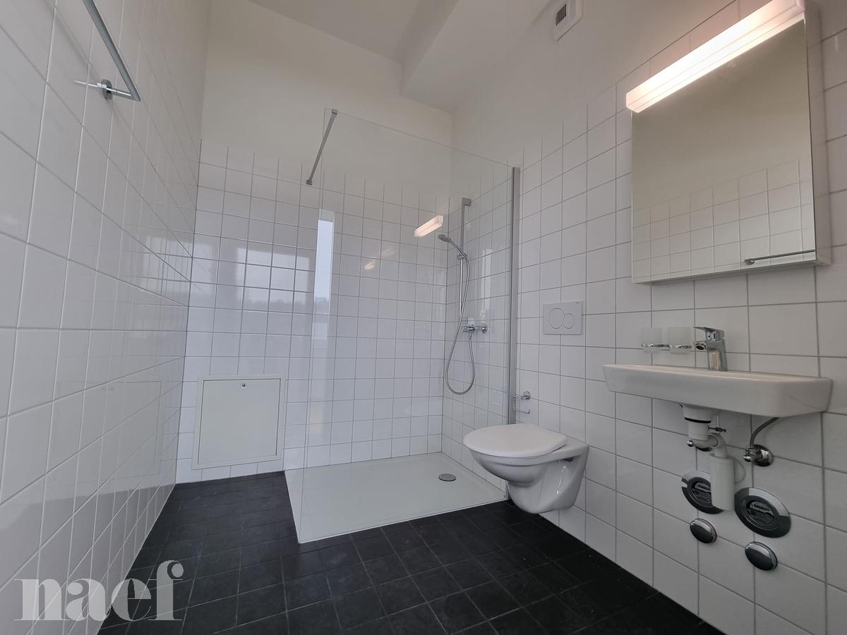 À louer : Appartement 2 Pieces Le Locle - Ref : 276325.7 | Naef Immobilier