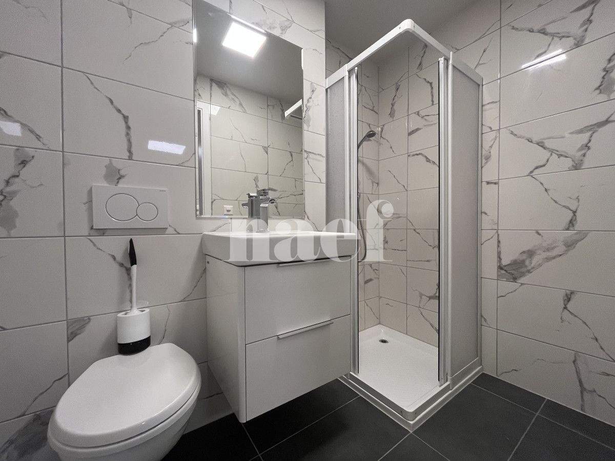 À louer : Appartement 1 Pieces La Chaux-de-Fonds - Ref : 276347.1 | Naef Immobilier