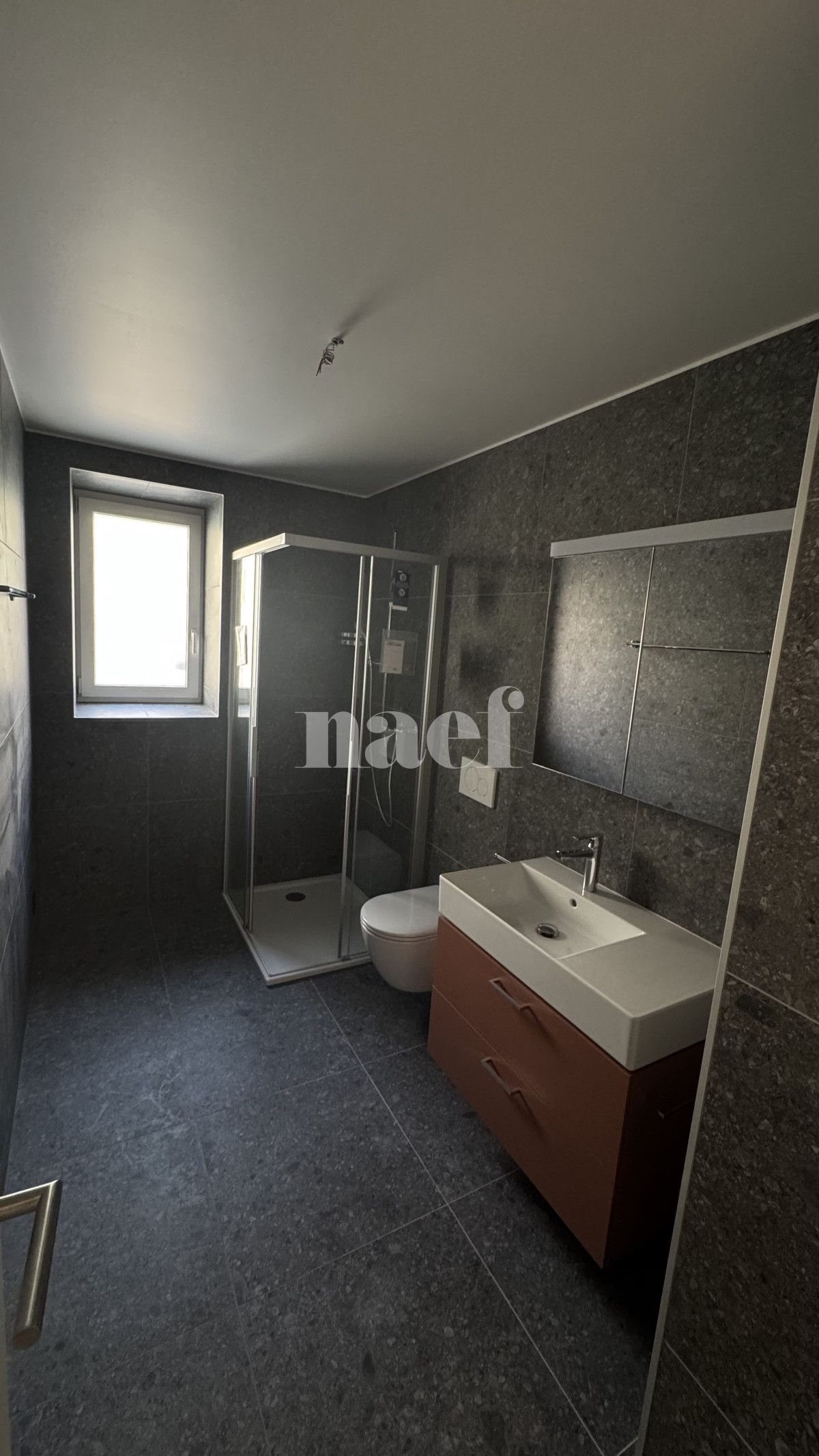 À louer : Appartement 3.5 Pieces La Chaux-de-Fonds - Ref : 276352.1001 | Naef Immobilier