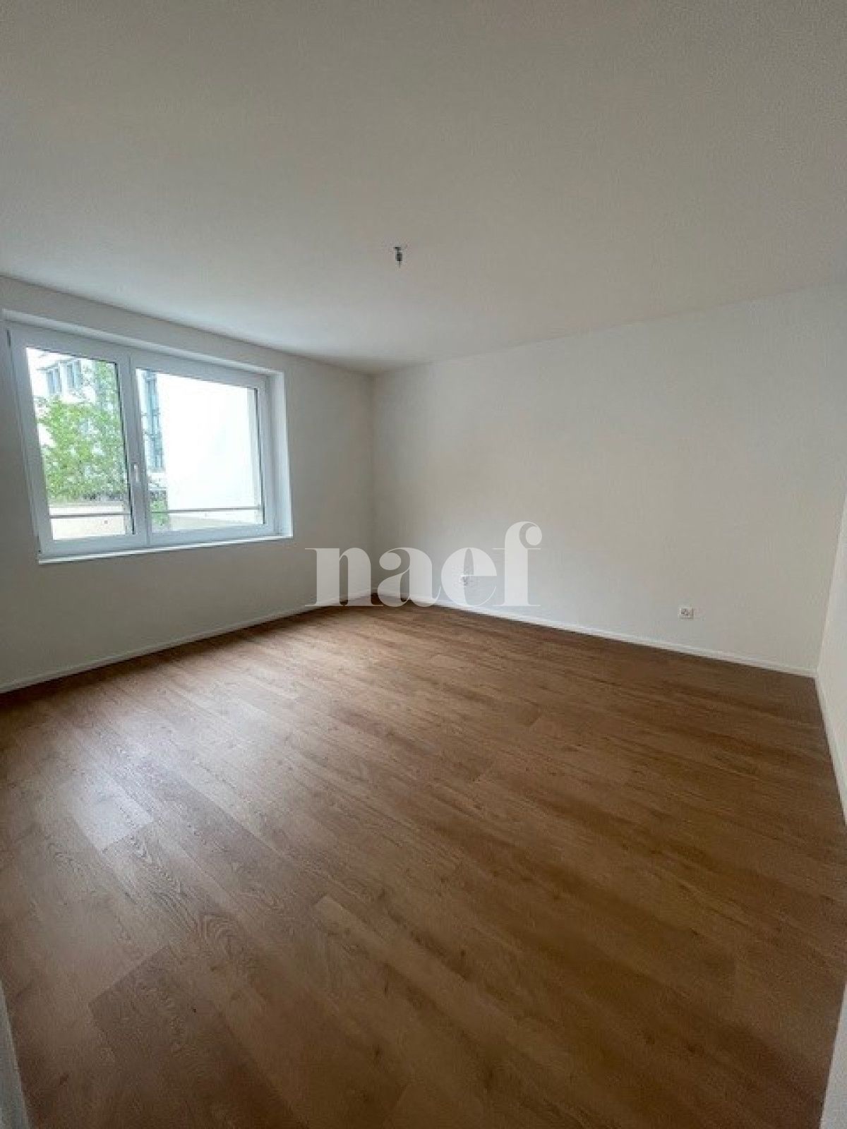 À louer : Appartement 5 Pieces La Chaux-de-Fonds - Ref : 276352.1002 | Naef Immobilier