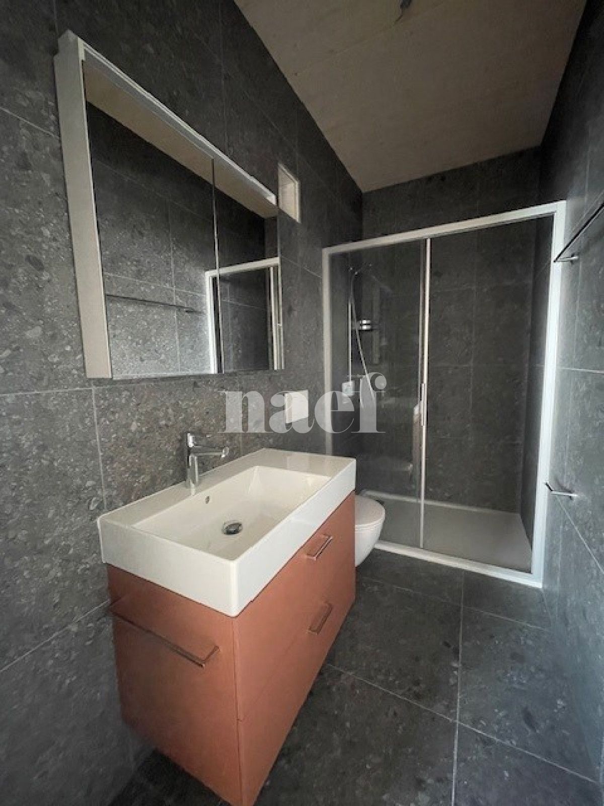 À louer : Appartement 4 Pieces La Chaux-de-Fonds - Ref : 276352.3001 | Naef Immobilier