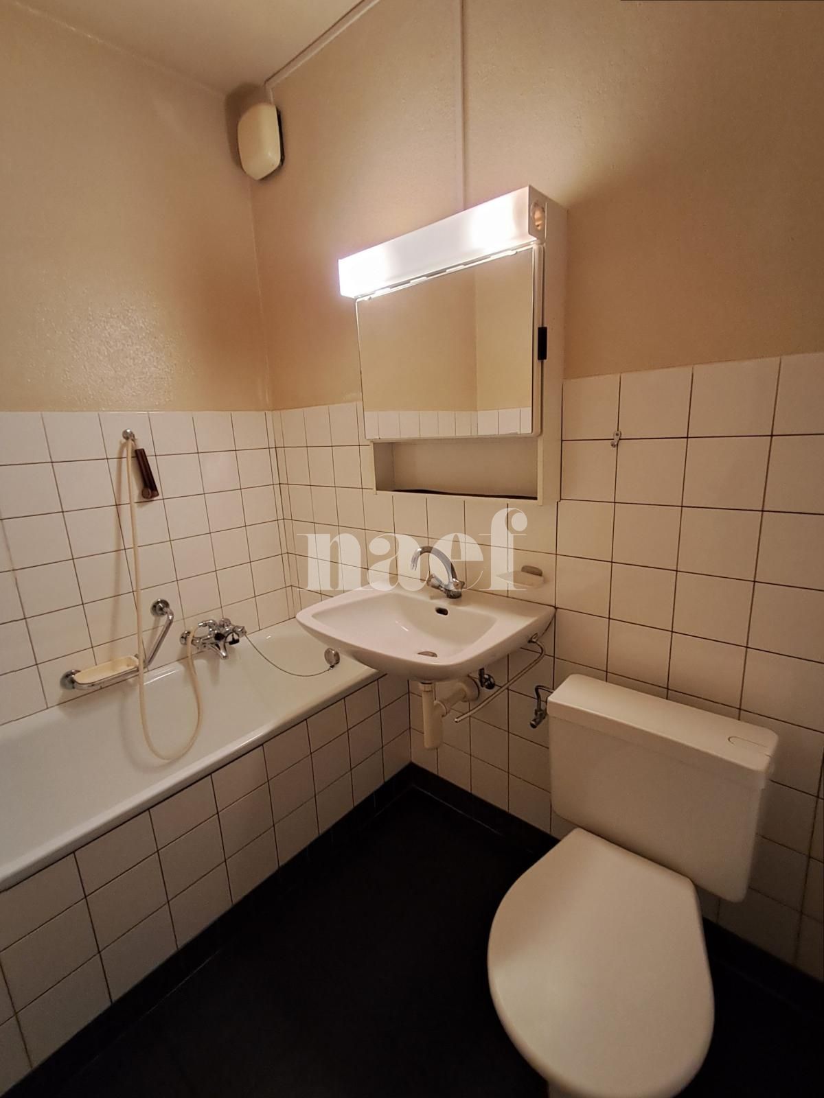 À louer : Appartement 1 Pieces La Chaux-de-Fonds - Ref : 276361.8005 | Naef Immobilier