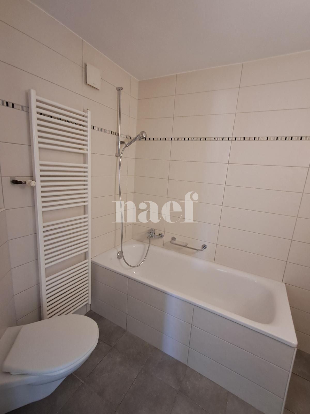 À louer : Appartement 3.5 Pieces La Chaux-de-Fonds - Ref : 276407.4003 | Naef Immobilier