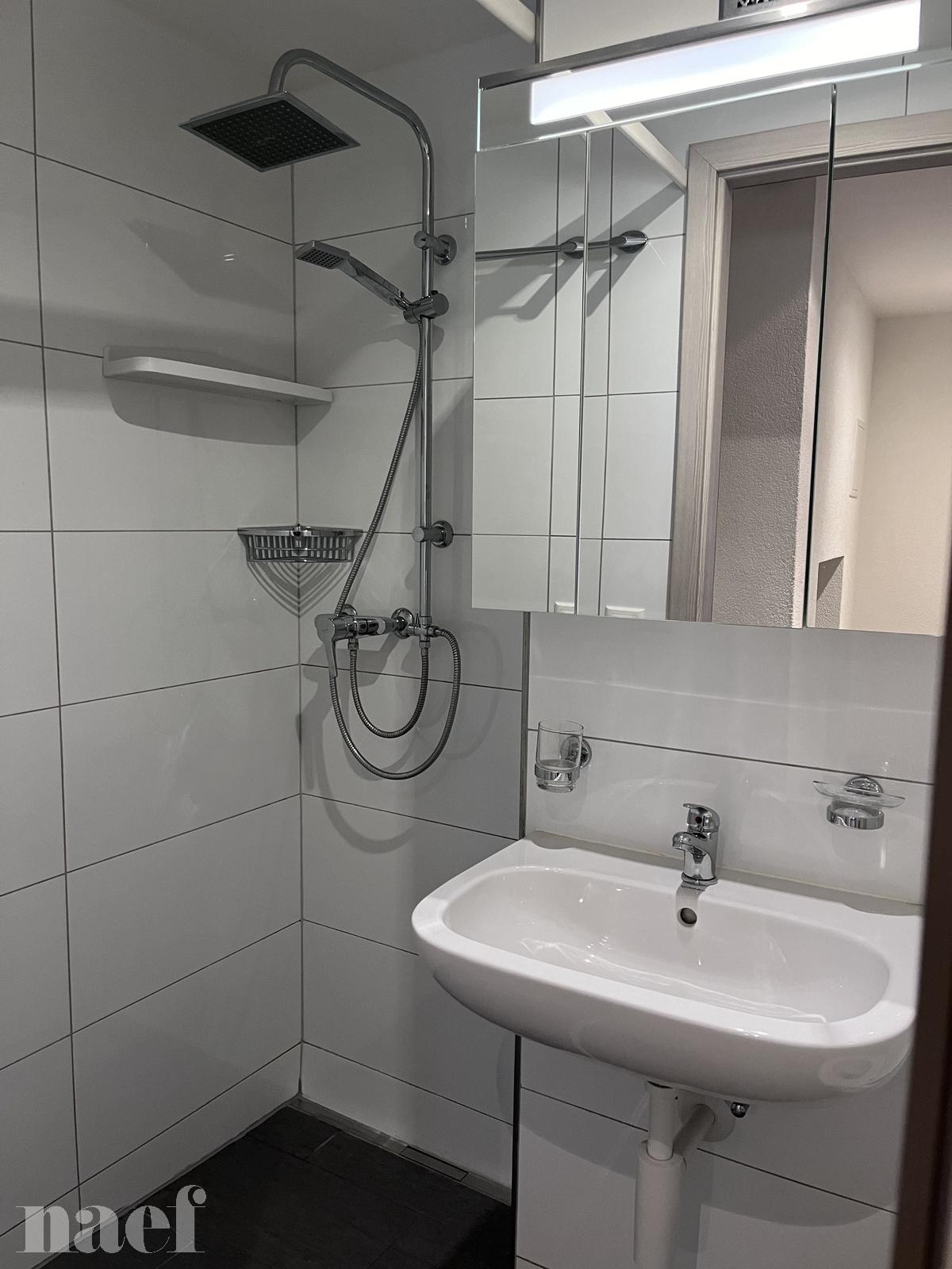 À louer : Appartement 3.5 Pieces La Chaux-de-Fonds - Ref : 276905.1 | Naef Immobilier