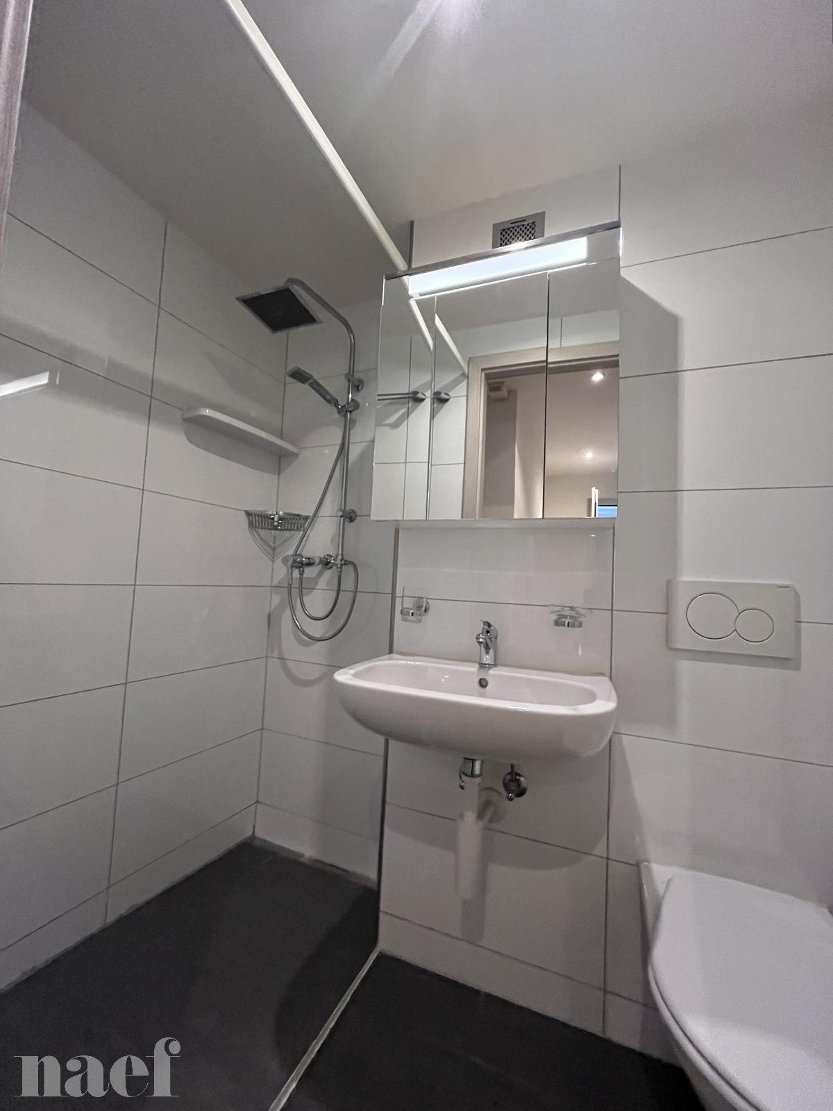 À louer : Appartement 3.5 Pieces La Chaux-de-Fonds - Ref : 276905.1 | Naef Immobilier