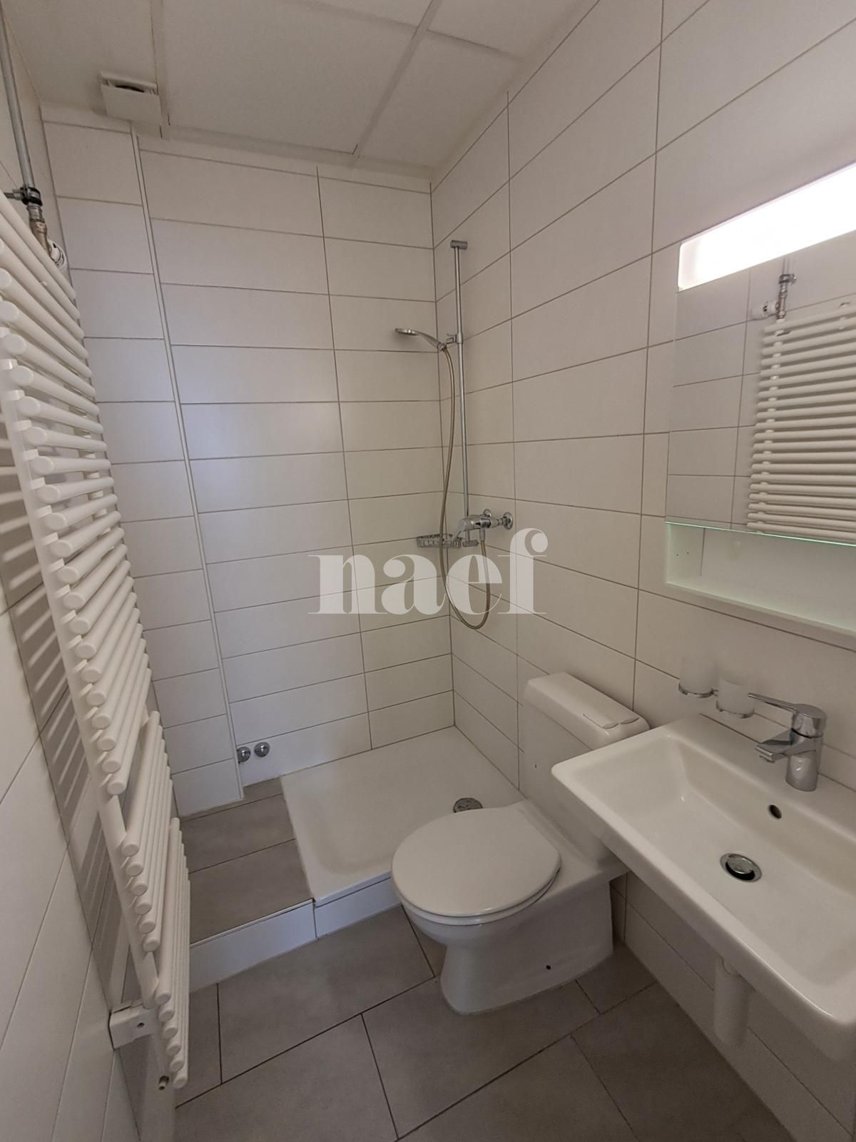 À louer : Appartement 2.5 Pieces La Chaux-de-Fonds - Ref : 276914.2002 | Naef Immobilier