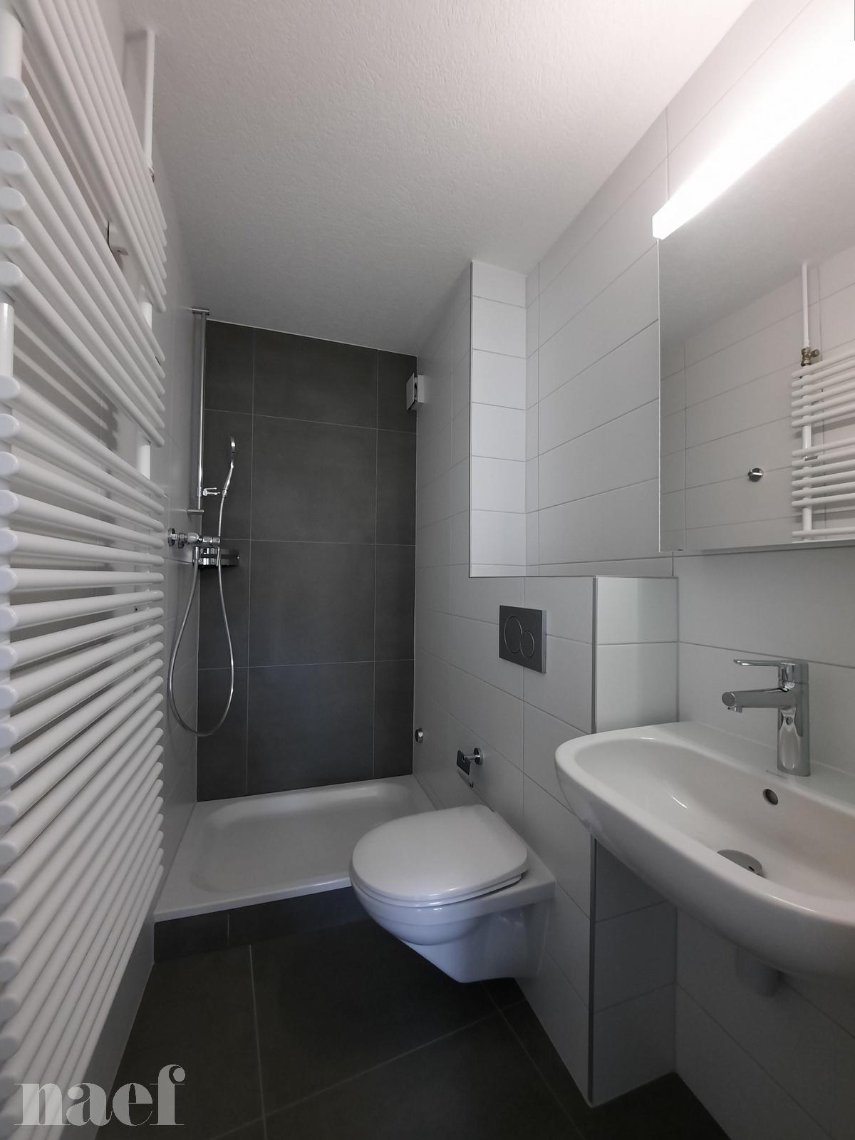 À louer : Appartement 2.5 Pieces La Chaux-de-Fonds - Ref : 276914.3001 | Naef Immobilier