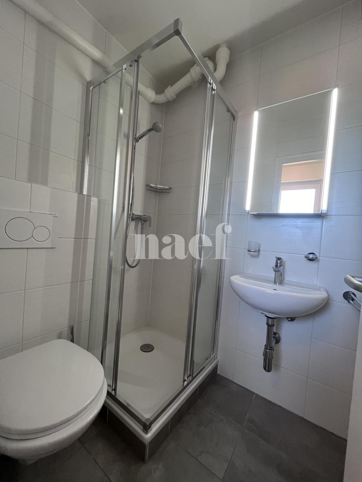 À louer : Appartement 4 Pieces La Chaux-de-Fonds - Ref : 276938.4002 | Naef Immobilier