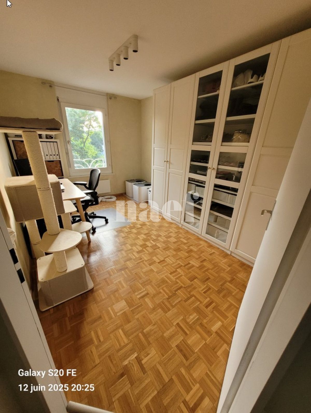 À louer : Appartement 5 Pieces Genève - Ref : 280004.3502 | Naef Immobilier