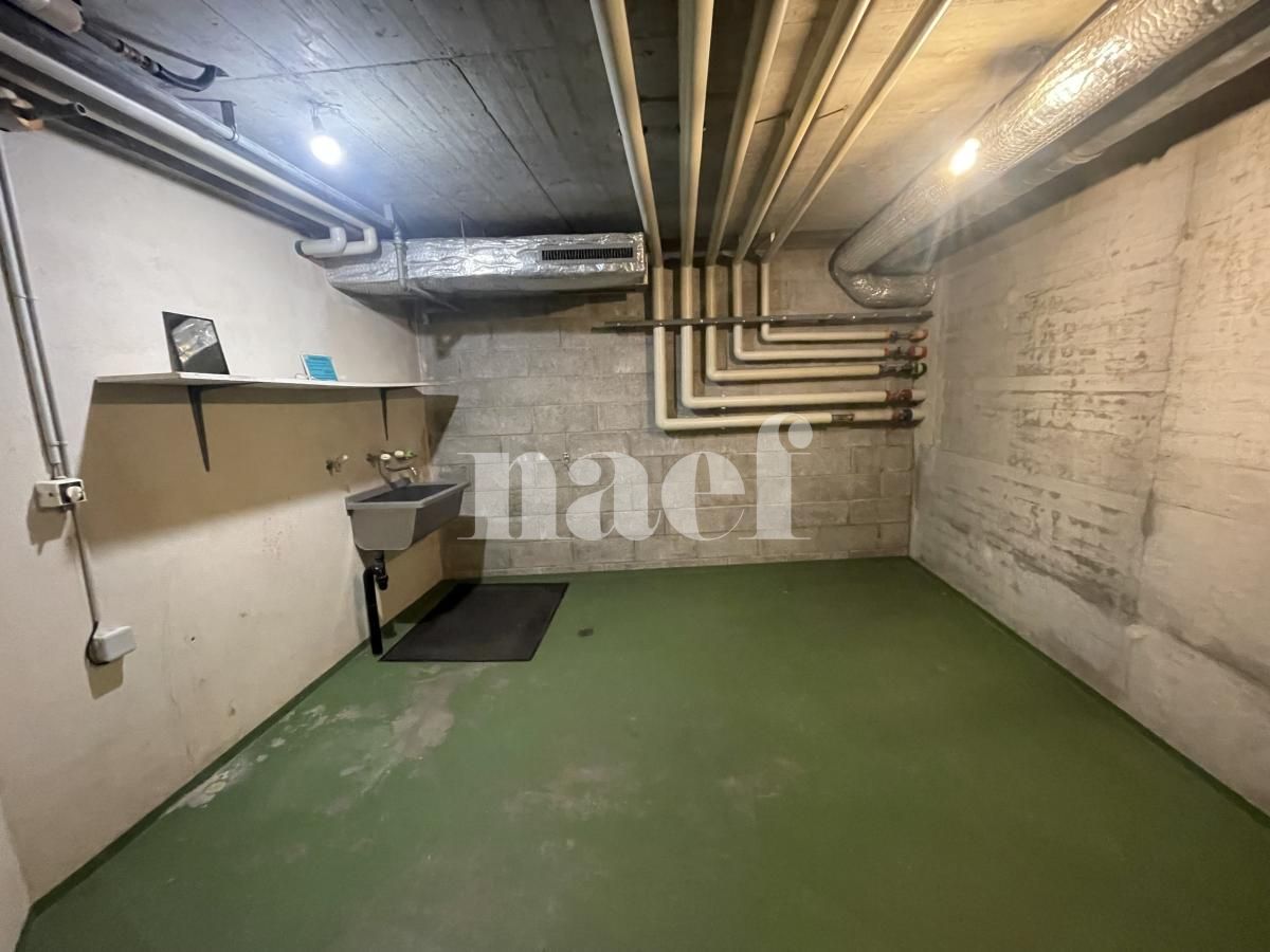 À louer : Surface Commerciale Atelier Nyon - Ref : 280971.81001 | Naef Immobilier