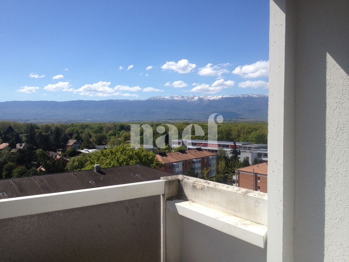 À louer : Appartement 5 Pieces Onex - Ref : 282713.9091 | Naef Immobilier